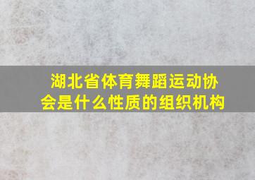 湖北省体育舞蹈运动协会是什么性质的组织机构