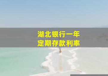 湖北银行一年定期存款利率