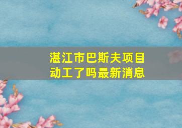 湛江市巴斯夫项目动工了吗最新消息