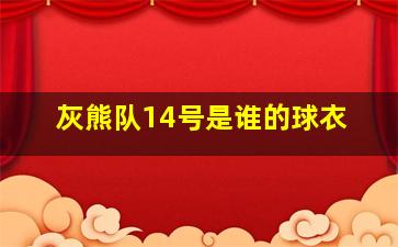 灰熊队14号是谁的球衣