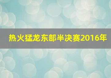 热火猛龙东部半决赛2016年