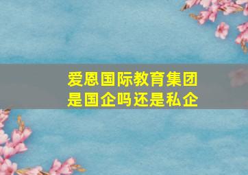 爱恩国际教育集团是国企吗还是私企