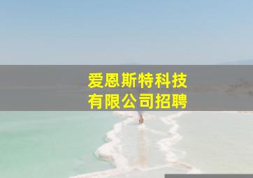 爱恩斯特科技有限公司招聘