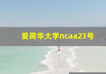 爱荷华大学ncaa23号