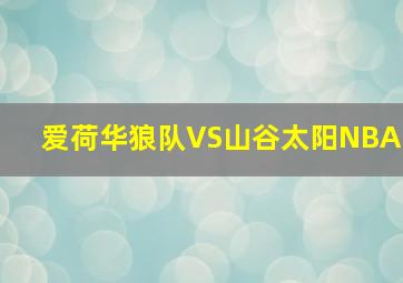 爱荷华狼队VS山谷太阳NBA