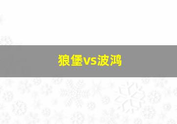 狼堡vs波鸿