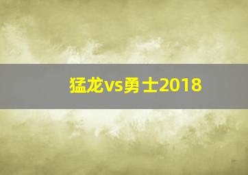 猛龙vs勇士2018