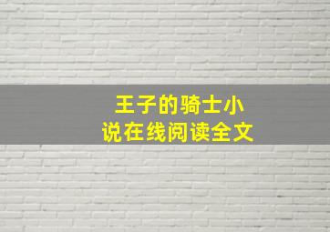 王子的骑士小说在线阅读全文