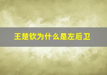 王楚钦为什么是左后卫