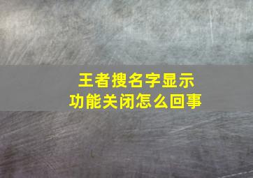 王者搜名字显示功能关闭怎么回事