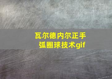 瓦尔德内尔正手弧圈球技术gif