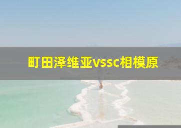 町田泽维亚vssc相模原