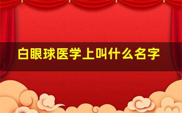 白眼球医学上叫什么名字