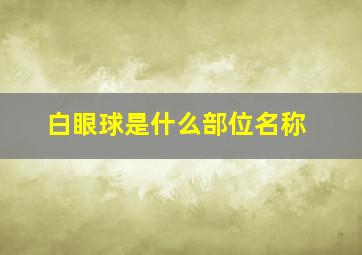 白眼球是什么部位名称