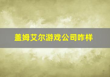 盖姆艾尔游戏公司咋样