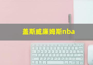 盖斯威廉姆斯nba