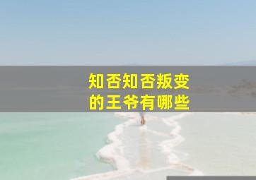 知否知否叛变的王爷有哪些