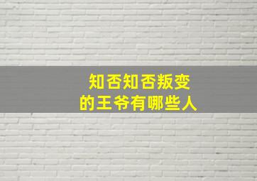 知否知否叛变的王爷有哪些人