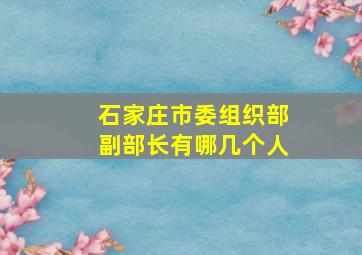 石家庄市委组织部副部长有哪几个人