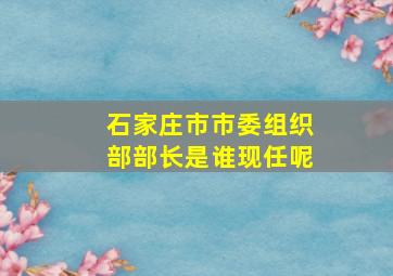 石家庄市市委组织部部长是谁现任呢