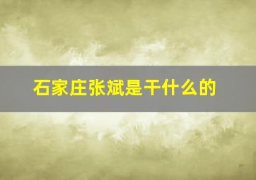 石家庄张斌是干什么的