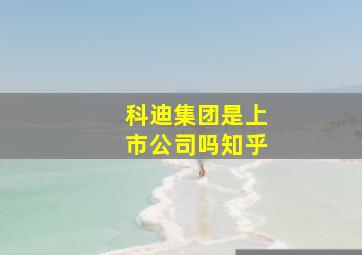 科迪集团是上市公司吗知乎