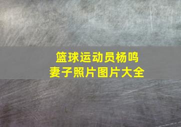 篮球运动员杨鸣妻子照片图片大全