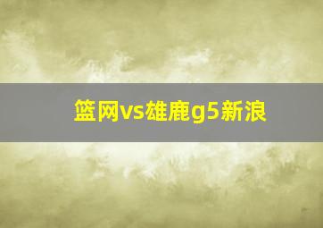 篮网vs雄鹿g5新浪