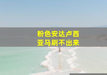 粉色安达卢西亚马刷不出来