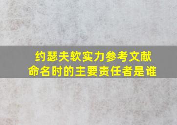 约瑟夫软实力参考文献命名时的主要责任者是谁