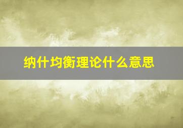 纳什均衡理论什么意思