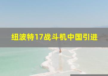 纽波特17战斗机中国引进