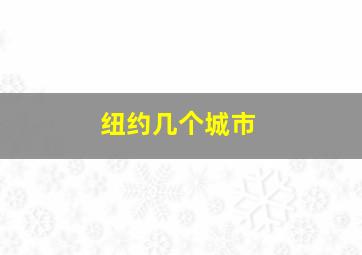 纽约几个城市