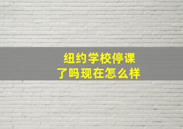 纽约学校停课了吗现在怎么样