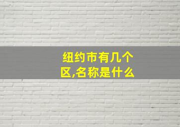 纽约市有几个区,名称是什么