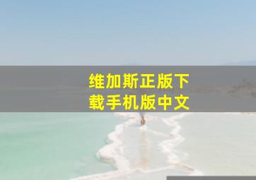 维加斯正版下载手机版中文