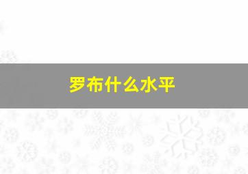 罗布什么水平