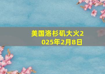 美国洛杉矶大火2025年2月8日