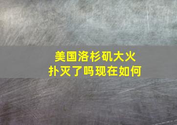 美国洛杉矶大火扑灭了吗现在如何