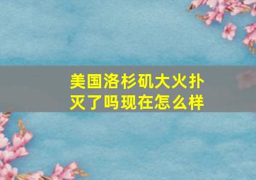 美国洛杉矶大火扑灭了吗现在怎么样