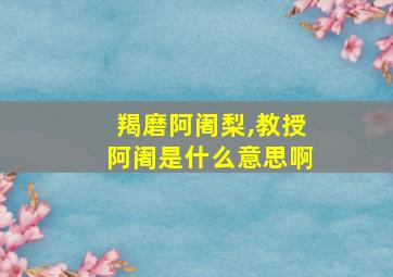 羯磨阿阇梨,教授阿阇是什么意思啊