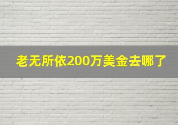 老无所依200万美金去哪了