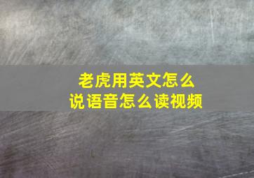 老虎用英文怎么说语音怎么读视频