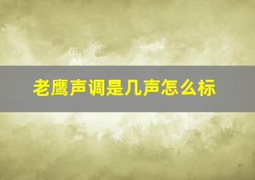 老鹰声调是几声怎么标