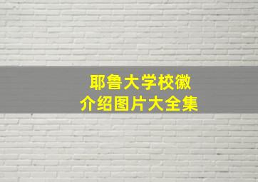 耶鲁大学校徽介绍图片大全集