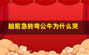 脑筋急转弯公牛为什么哭