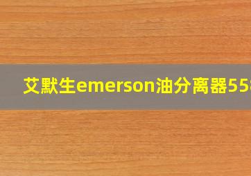 艾默生emerson油分离器55877