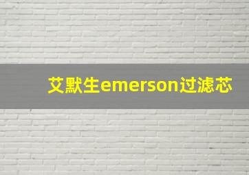 艾默生emerson过滤芯