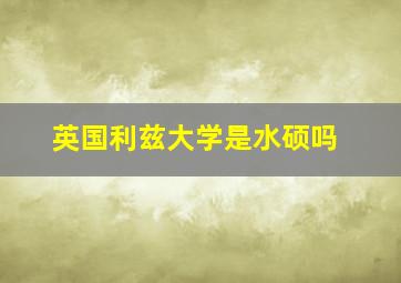 英国利兹大学是水硕吗