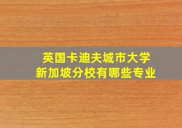 英国卡迪夫城市大学新加坡分校有哪些专业